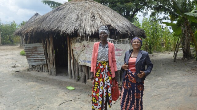 Honey Green Export Project in Angola